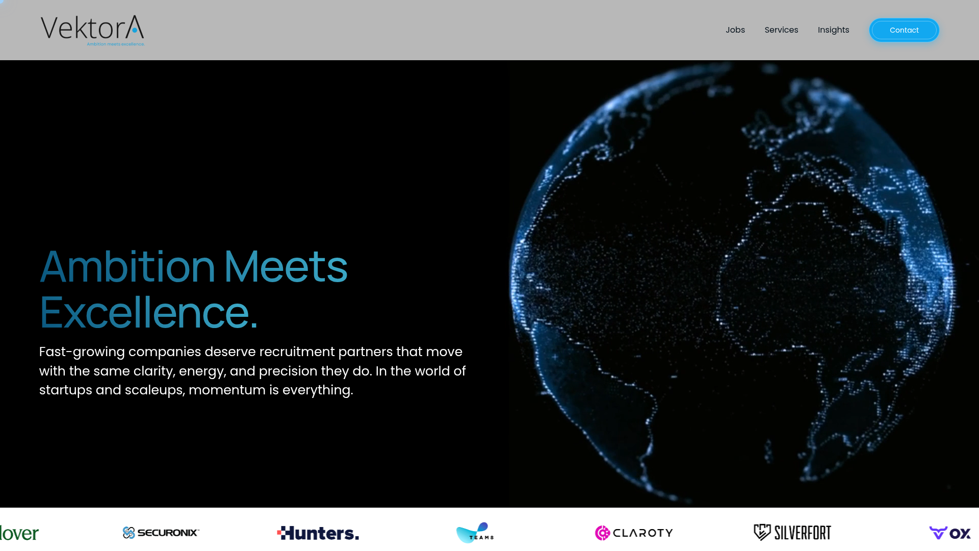 Vektora Global website preview